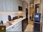 Luxurious Fully Furnished Apartment Trizen Colombo 2