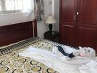 Luxurious Fully Furnished Apartment Wellawata Rent