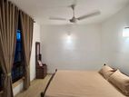 Luxurious Furnished Apartment Colombo 5