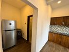 Luxurious Furnished Apartment Trizen Colombo 3