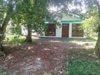 Luxurious House with 38 Perch Land for Sale - Matara