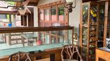 Luxurious New Large House Sale Ambulluwawa