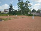 Luxurious Residential Lands in Palawaththa P32