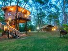 Luxurious Tree-House Resort for Sale in Hambegamuwa (udawalawa)