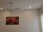 Luxury 3 Bedroom Semi Furnished Apartment for Rent - Malabe