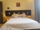 Luxury 5 Bedrooms House for Sale in Colombo - PDH185