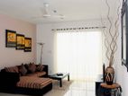 Luxury apartment for rent at On320 Residencies Colombo 2