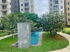 Luxury Apartment For Sale In On320 Colombo 2 Ref ZA560