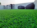 Luxury Artificial Grass Carpet Service