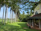 Luxury banglow 92 perch with 2 acres paddy field Maharagama