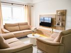 Luxury Brand New Apartment for rent in Nugegoda