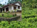 Luxury Bungalow with 2 Acre Tea Land for Sale in Balangoda
