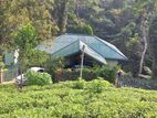 Luxury Bungalow with Tea Land in 20 Acres for Sale - Rathnapura Kalawana