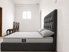 Luxury Button-Tufted High Headboard Bed
