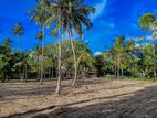 Luxury Coastal Land for Sale in Midigama