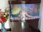 Luxury Fish Tank