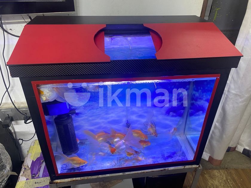 Fish Tank Full Set for Sale in Colombo 14 | ikman