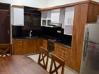 Luxury Four Bedroom fully furnished house at Lion city