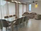 Luxury Fully Furnished House for Rent Battaramulla