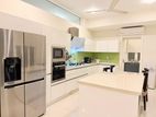 Luxury Fully Furnished House For Rent In Colombo 8 - 3895U