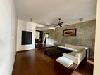 Luxury Fully Furnished House Rent In Colombo 05 - 3890U