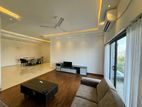 Luxury Furnished 3 Bedroom Apartment for Rent Colombo 06