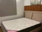 Luxury Furnished Apartment for Rent in Colombo