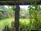 Luxury Furnished House For Rent in Baddagana Kotte [ 525C ]