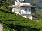 Luxury furnished villa for rent lindula Nuwaraeliya