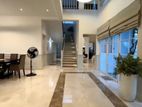 Luxury Furnished Villa with beautiful paddy view Madiwela