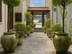 Luxury Furnishesd Apartment for Rent in Colombo 05 (C7-10275)