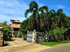 Luxury House for Rent in Wellawaya Town