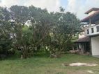 Luxury House for Sale in Pelawatta