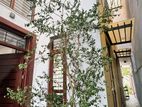 Luxury house for sale in Rajagiriya