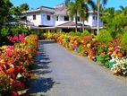 Luxury House in Daluwakotuwa