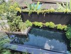 Luxury House with Swimming Pool for Sale in Rajagiriya