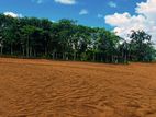 luxury land for sale