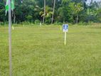 Luxury Land For Sale In Beliatta Near To Highway Exit