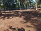 Luxury Land for Sale in Dibbedda Panadura quiet neighborhood