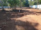 Luxury Land for Sale in Dibbedda Panadura Quiet Neighborhood