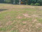 Luxury land for sale in Homagama Diyagama Samagi Mawatha