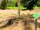 Luxury Land for Sale in Homagama