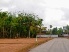 Luxury Land for Sale in Homagama Near Nsbm Campus