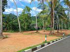 Luxury land for sale in Kadawata