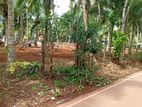 Luxury Land for Sale in Kandana – Batagama