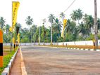 Luxury Land for Sale in Negombo