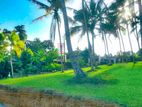 Luxury Land for Sale in Panadura