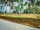 Luxury land for sale in panadura