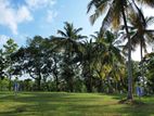 Luxury land for sale in Ragama