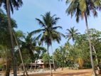 Luxury Land for Sale in St Mary's Road - Uswetakeiyawa